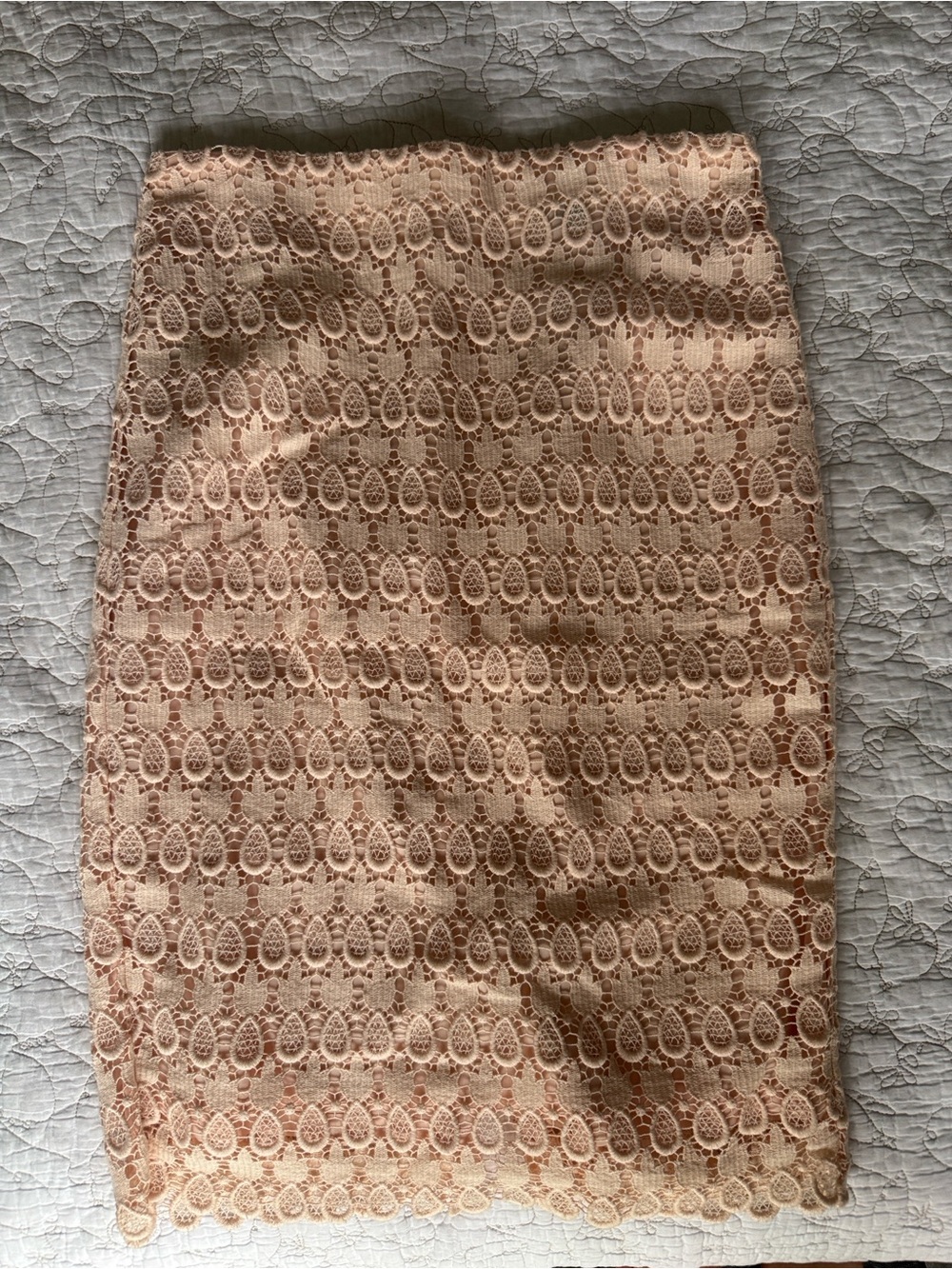 Ann Taylor Lace Pencil Skirt in Soft Peach
